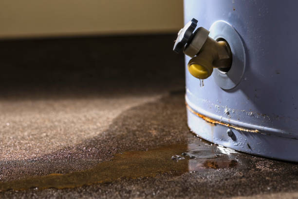 Best Water damage restoration near me  in Williamsport, PA