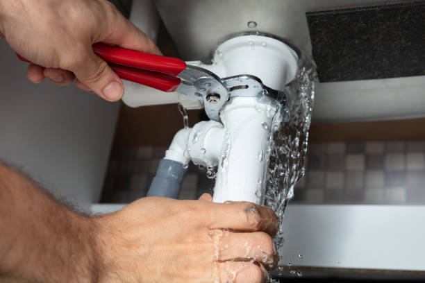 Best Water damage cleanup near me  in Williamsport, PA