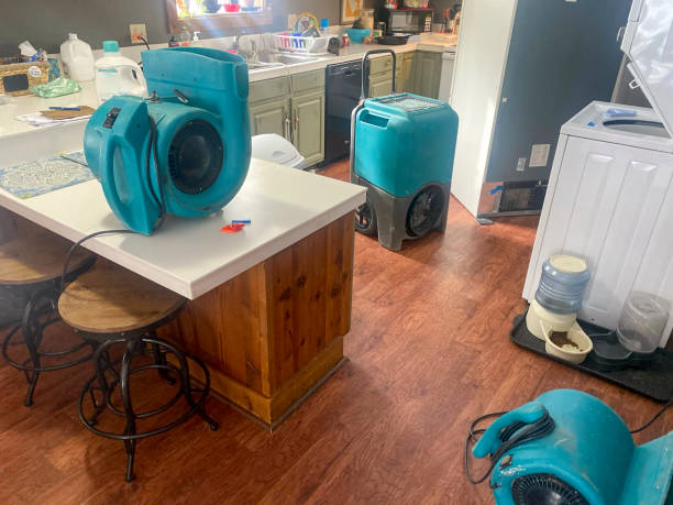 Best Water damage repair service  in Williamsport, PA