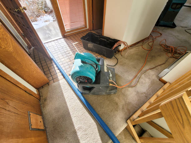 Best Residential water damage restoration  in Williamsport, PA
