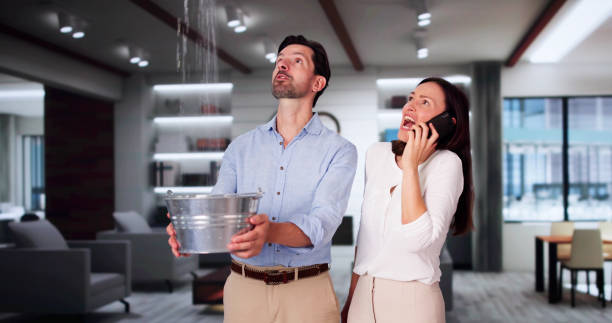 Best Water damage restoration company  in Williamsport, PA
