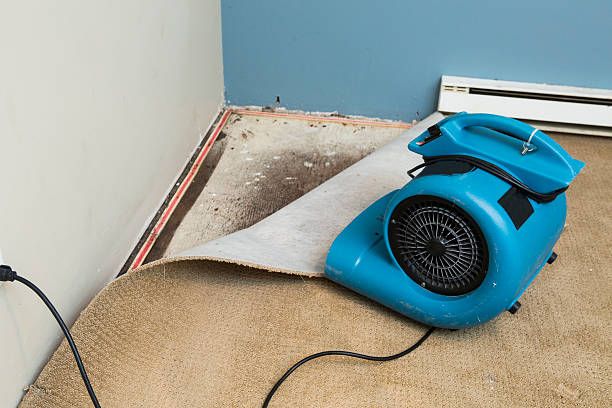 Best Water damage restoration near me  in Williamsport, PA
